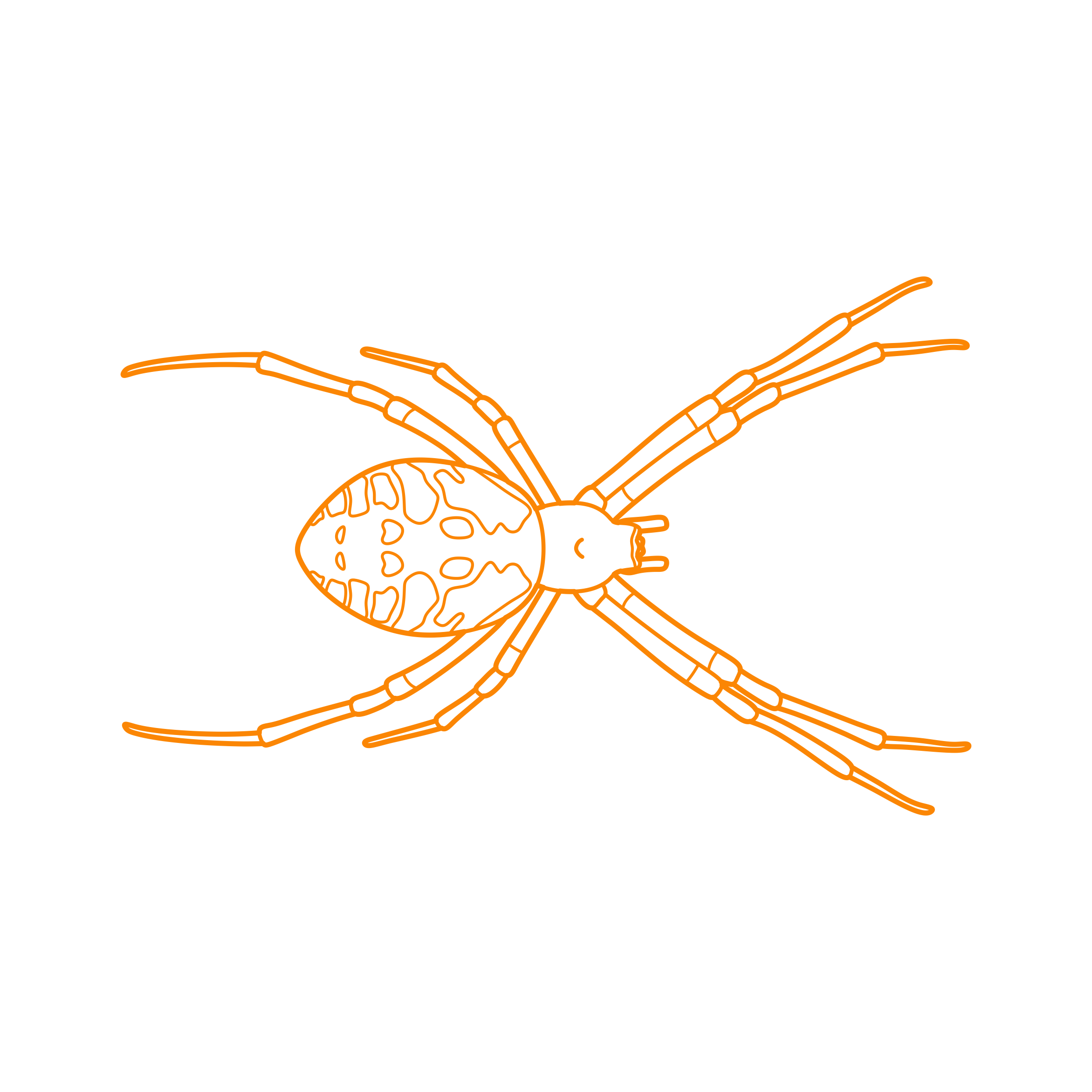 Animals Arachnids Yellow Garden Spider Laser Cut Svg File Free Vectors